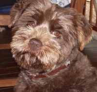 Lagoon Pocket Bed and Breakfast - Accommodation China