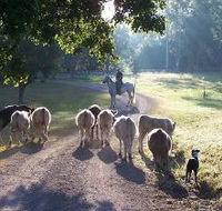 Brooloo Park - Accommodation China