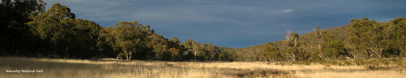 Tharwa ACT Accommodation Asia