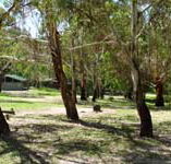 Woods Reserve - Accommodation Guide