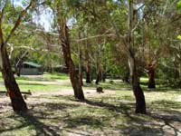 Woods Reserve - Accommodation Guide 0