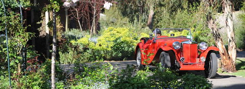 Wintarni Olives - Accommodation China 1