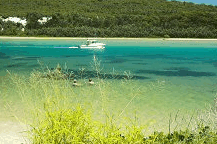 Wooli Camping and Caravan Park - Accommodation Guide