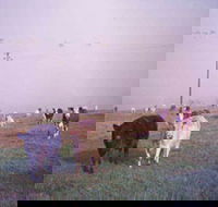 Seeview Farmstay - Accommodation Guide