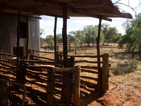 Redbank Homestead - Gundabooka National Park - Accommodation Asia 5