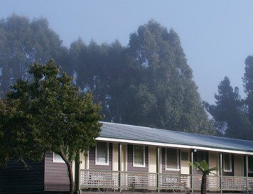 Bondi Forest Lodge - Accommodation Guide 0