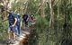 Bondi Forest Lodge - thumb 3