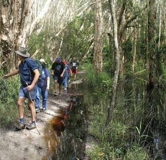Bondi Forest Lodge - Accommodation Guide 3