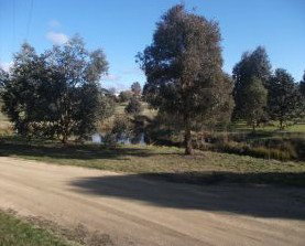 Delegate Caravan Park - Accommodation Guide 0