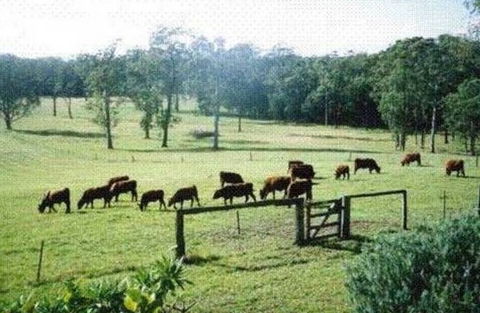 Bella Vista Cottage - Accommodation Guide 1