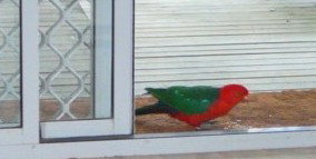 Azalea Cottage - Accommodation China 5