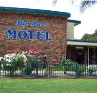 Fig Tree Motel - Accommodation Guide