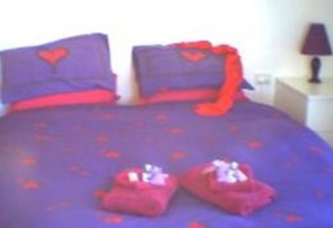 Aloomba Lavender - Accommodation - Accommodation Guide 0