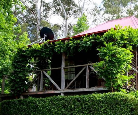 Cedar Creek Vineyard Cottages - Accommodation China 2