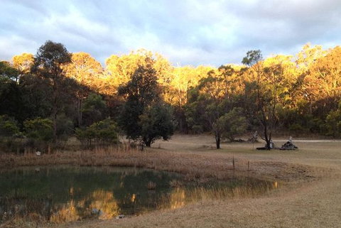 Possums Hollow And Hooters Hut - Accommodation China 1