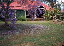 Minmore Farmstay Bed And Breakfast - Accommodation China 0