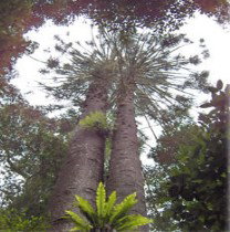 Balgowan ACT Accommodation Guide