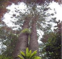 Moorlands Country Retreat - Accommodation Guide