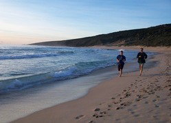 Karri Patch Cottage - Accommodation Guide 1