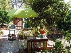 Karri Patch Cottage - Accommodation Guide 3