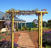 Lavendale Farmstay and Cottages - Accommodation Guide