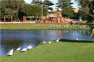 Fig Tree Holiday Village - Accommodation Asia 3