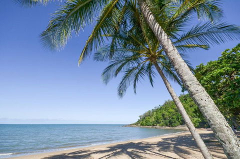 Roydon Beachfront Holiday Apartments - Accommodation Guide 4