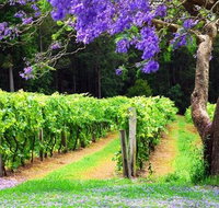 Bago Vineyards - Accommodation China