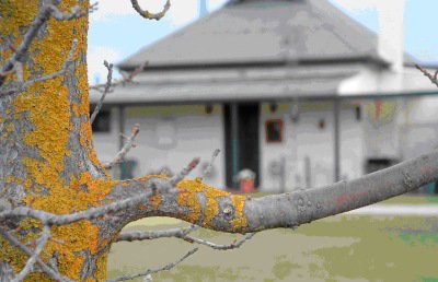 Dunalan Host Farm Cottage - Accommodation Asia 1