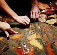 Daintree Eco Lodge And Spa - Accommodation Asia