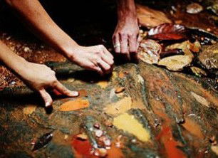Daintree Eco Lodge And Spa - Accommodation Guide 0