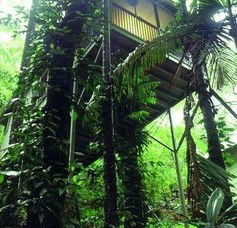 Daintree Eco Lodge And Spa - Accommodation Guide 1