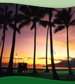 Bay Village Tropical Retreat, Cairns - Accommodation China 1