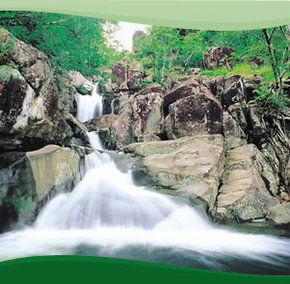 Bay Village Tropical Retreat, Cairns - Accommodation China 2