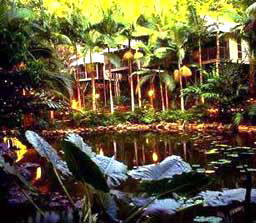 Daintree Eco Lodge And Spa - Accommodation Guide 3