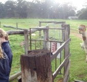 Boronia Farm Farmstay - Accommodation Guide