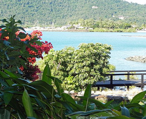 Airlie Waterfront Bed And Breakfast - Accommodation Guide 1