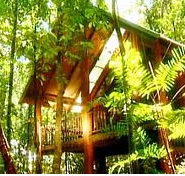The Canopy Treehouses - Accommodation Guide