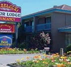 Strzelecki Motor Lodge - Accommodation China
