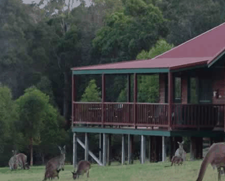 Walpole Wilderness Resort - Accommodation Guide