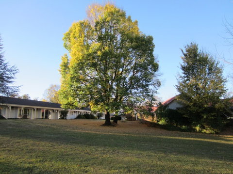 Moore Park Inn - Accommodation Guide 0