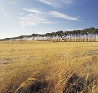 Port Wakefield Motel - Accommodation China