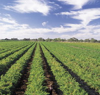 Diplomat Motel amp Restaurant - Accommodation Asia