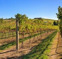 DeVine Escape - Accommodation Guide