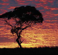 Kimba Caravan Park amp Motel - Accommodation Guide