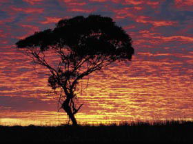 Kimba Caravan Park & Motel - Accommodation Guide 0
