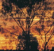 Tilmouth Well - Accommodation Guide