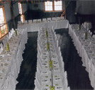 Echidna Gully Paintball and Lazerblits - Accommodation Asia