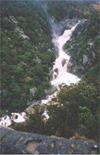 Echidna Gully Paintball And Lazerblits - Accommodation Asia 2