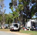 Elliston Caravan Park - Accommodation Guide